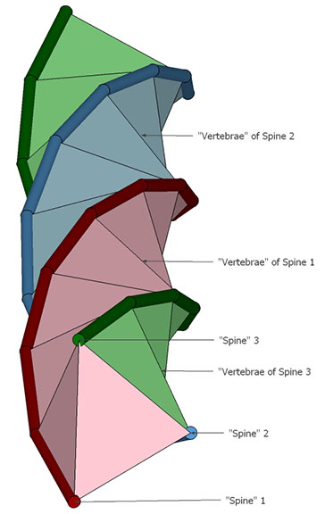 Triple helix viewed obliquely with the individual spines and vertebrae clearly defined.