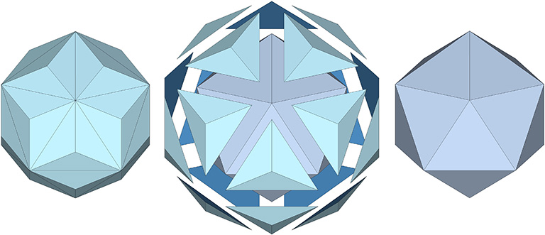 Rhombic triacontahedron scribed on the long diagonal of each face (left), and truncated along these lines (center), to describe the regular icosahedron (right).