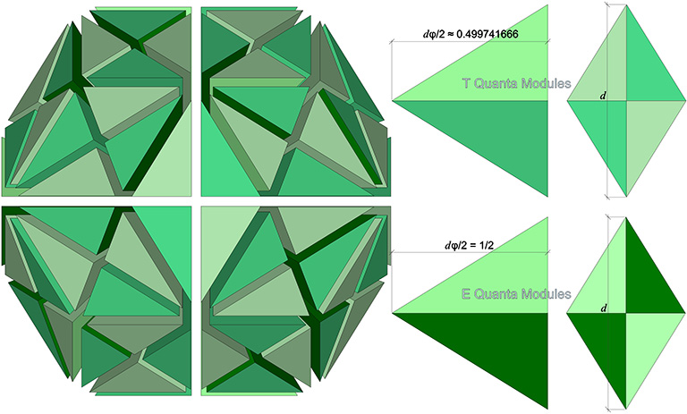 Rhombic triacontahedron divided into 120 equal-volume irregular tetrahedra (left). Schematic of T and E quanta modules (right) with the insphere radius, dφ/2 ≈ 0.4998 for the T module, and 1/2 for the E module. 