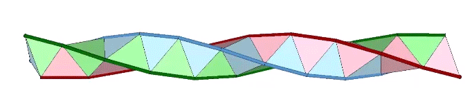 Triple helix viewed from the side, showing how the vertebrae of each spine mesh like the teeth of gears.