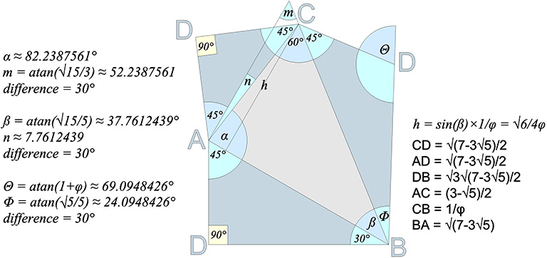 The S quanta module unfolded into an irregular polygon with all angles and edge lengths shown.