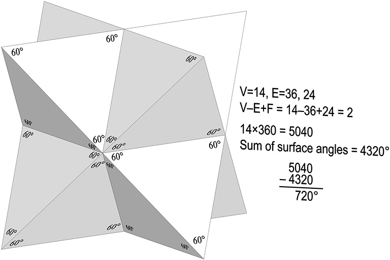 Eight regular tetrahedra face bonded to a regular octahedron with surface angles indicated. 