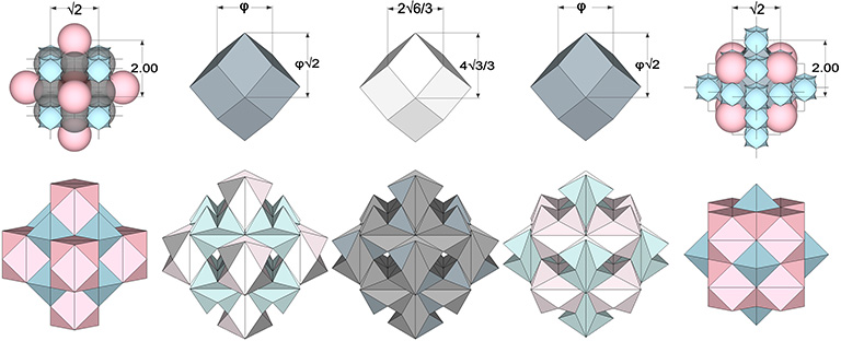Phases of the jitterbug transformation conceived as an expanding and contracting rhombic dodecahedron (top row) whose edges connect the centers of the fourteen polyhedra (bottom row) surrounding the central VE (sphere) or octahedron (space). 