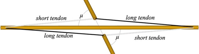 Two struts of a tensegrity sphere crossing the midpoint of their dangler at angle, µ, with long and short tendons identified.
